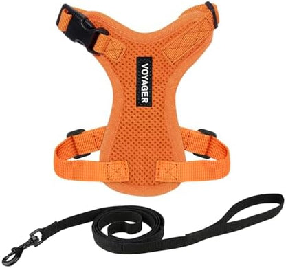 Voyager Step-in Lock Cat Harness & Leash Set by BestPetSuppliesLLC