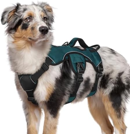 rabbitgoo Escape Proof Dog Harness by rabbitgoo