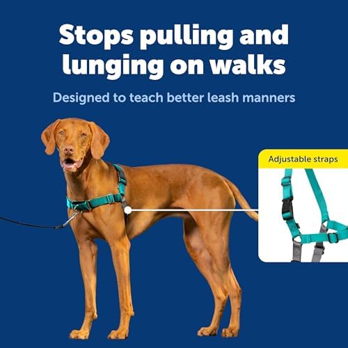 PetSafe Easy Walk Harness, No Pull Dog Harness - Image 3
