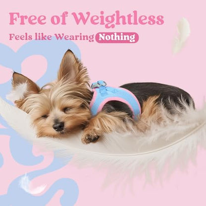 rabbitgoo Step-in Small Dog Harness, Puppy Vest - Image 5