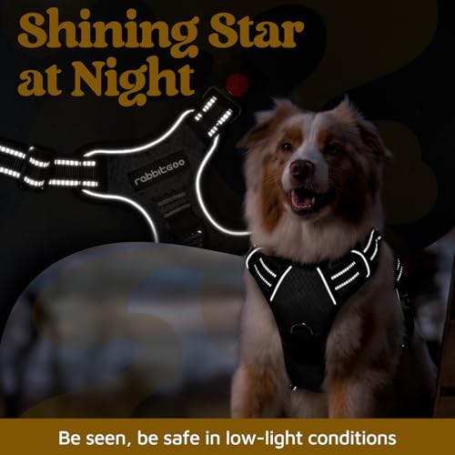 rabbitgoo Dog Harness Medium Sized, No Pull 3 Buckles Easy On & Off - Image 6