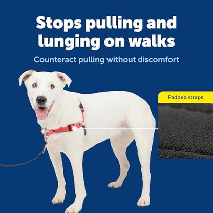 PetSafe Deluxe Easy Walk Harness, Medium/Large, Rose Red - Image 4