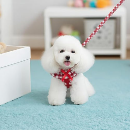 EXPAWLORER Step-in Dog Harness Small Sized and Leash Set - Image 7