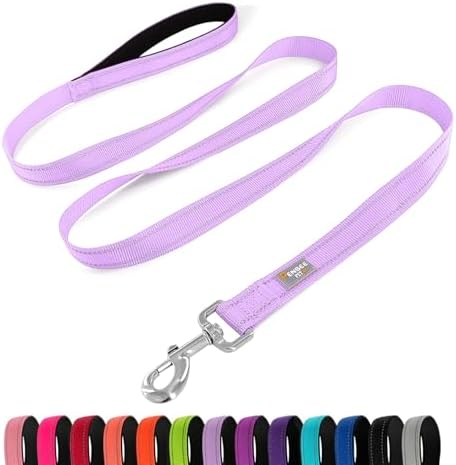 6 FT Basic Dog Leash for Small Dogs by Penseepet