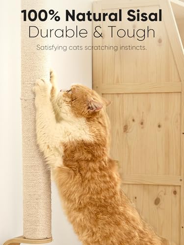 FUKUMARU Cat Wall Scratcher - Image 2