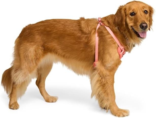 EveryYay by Petco Step in Dog Harness Pink Medium - Image 2
