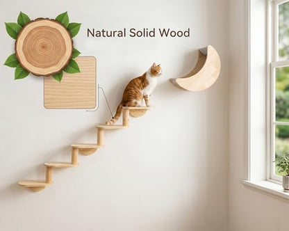 Cat Wall Shelves, Solid Wood Moon Bed, 5-Step Stairs - Image 6