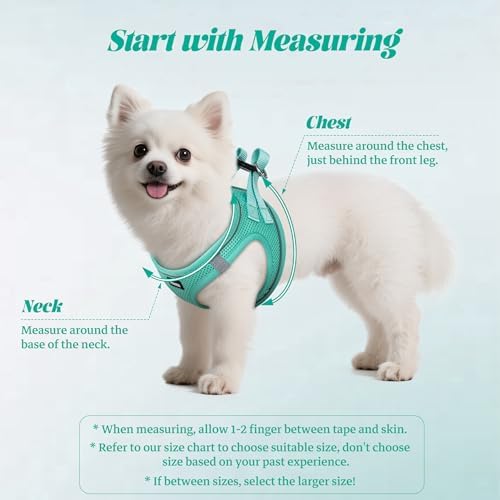 No Pull Dog Puppy Harness and Leash Set Reflective Mesh Vest XX-Small - Image 2