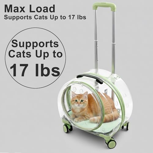 Transparent Hard Shell Cat Carrier - Image 2