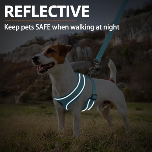 PUPTECK Small Dog Harness and Leash Set No Pull - Image 6
