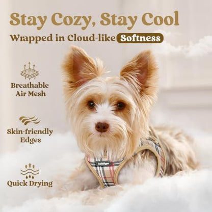 rabbitgoo Step-in Small Dog Harness, Puppy Vest - Image 3