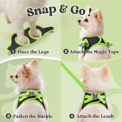 rabbitgoo Dog Harness Small Sized and Leash Set, Step in Soft Vest - Image 2