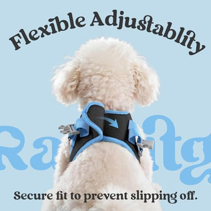 rabbitgoo Dog Harness Small Sized and Leash Set, Step in Soft Vest - Image 6