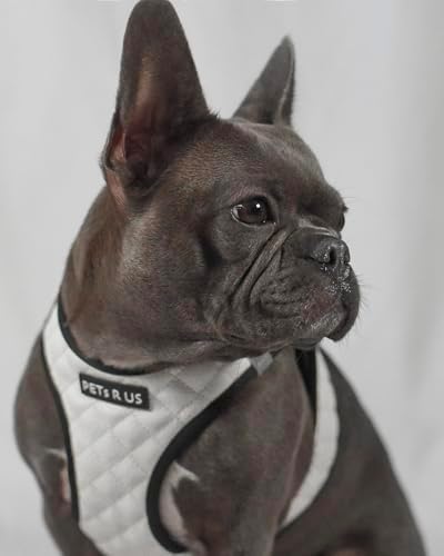 Step in Dog Harness, Lightweight Breathable Mesh Soft Padded Pet Vest, Vegan - Image 6