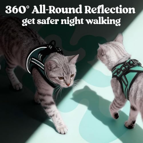 rabbitgoo Cat Harness and Leash Set, Step-in Soft Vest - Image 5