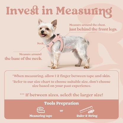 rabbitgoo Step-in Small Dog Harness, Puppy Vest - Image 2