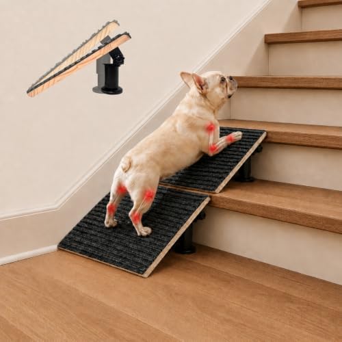 Adjustable Dog Ramp for Stairs by GIVMORCOLOS-US