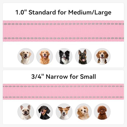 Joytale Reflective Dog Leash for Small Dogs, 4 FT x 3/4" - Image 6