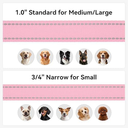 Joytale Reflective Dog Leash for Small Dogs, 4 FT x 3/4" - Image 6