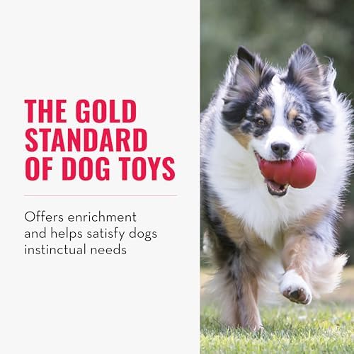 KONG Classic Stuffable Dog Toy, Natural Rubber, - Image 3