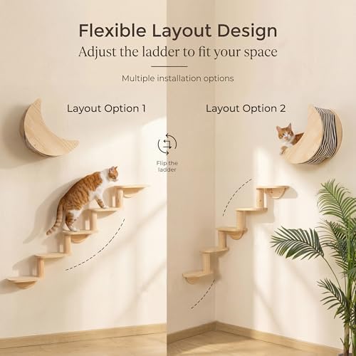 Cat Wall Shelves, Solid Wood Moon Bed, 5-Step Stairs - Image 3