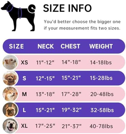 IVY&LANE No Pull Dog Harness - Image 2