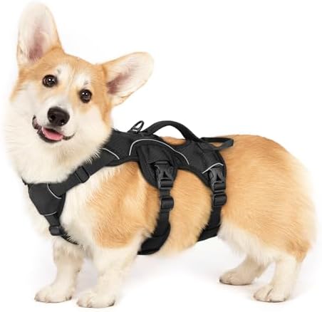 rabbitgoo Escape Proof Dog Harness by rabbitgoo