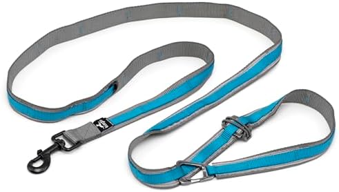 Kurgo Quantum 6 in 1 Dog Leash by Kurgo