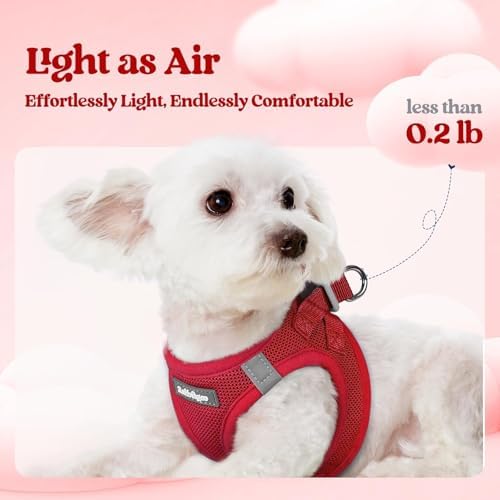 rabbitgoo Dog Harness Small Sized and Leash Set, Step-in Puppy Pet Vest - Image 3