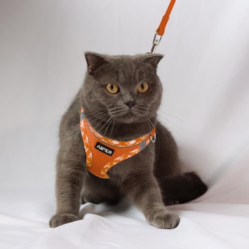 AMTOR Small Dog Harness with Leash Set, No Escape Easy Walk Puppy Harnesses - Image 5