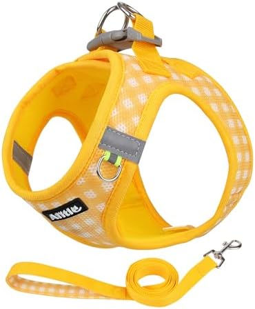 AIITLE Step in Medium Dog Harness and Leash Set, Puppy Pet Vest by AIITLE-FORPETSBETTERLIFE