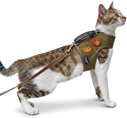 Cat Harness and Leash Set for Walking, Thanksgiving by YizhiMiaow