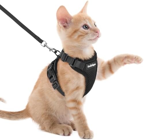rabbitgoo Cat Harness and Leash Set, Escape Proof Vest by rabbitgoo