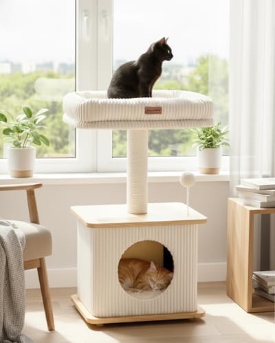 Small Cat Tree for Indoor Kittens by Purrlato