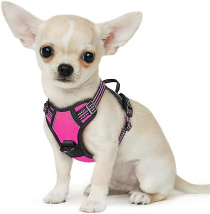 Eagloo Dog Harness for Small Dogs, No Pull Pet Vest by GoExplorewithEagloo