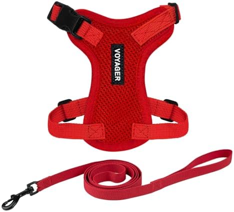 Voyager Step-in Lock Cat Harness & Leash Set by BestPetSuppliesLLC