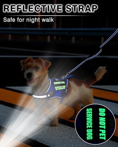 Small Service Dog Vest Harness and Leash Set+10 Patches Blue XS - Image 5