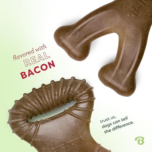 Benebone Tiny 2-Pack Dog Chew Toys, Real Bacon - Image 2
