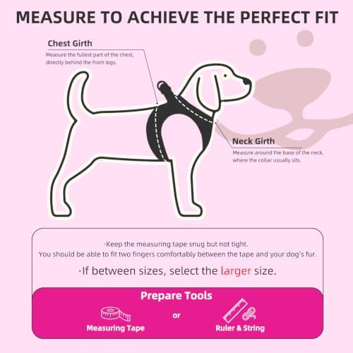PUPTECK Dog Harness, Collar and Leash Set No Pull - Image 2
