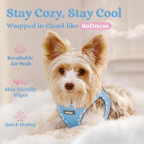 rabbitgoo Step-in Small Dog Harness, Puppy Vest - Image 3