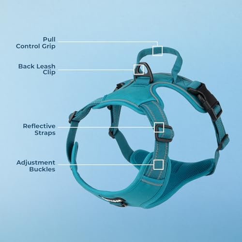 Voyager Dual Attachment No Pull Harness - Image 4