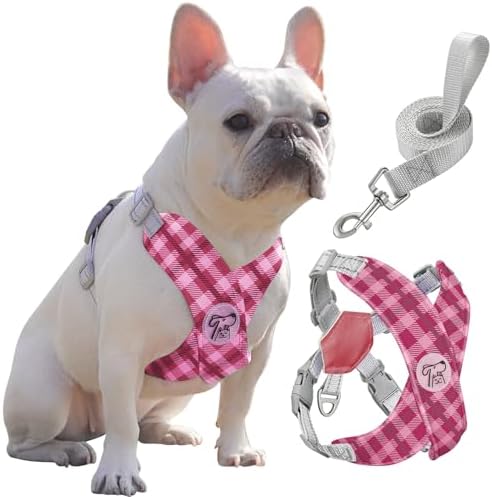 Pawaboo Small Dog Harness and Leash Set, Puppy Harness X-Frame Adjustable by Pawaboo