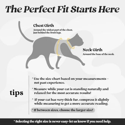 rabbitgoo Cat Harness and Leash Set, Step-in Soft Vest - Image 2