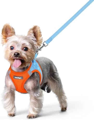 rabbitgoo Dog Harness Small Sized and Leash Set, Step-in Puppy Pet Vest by rabbitgoo