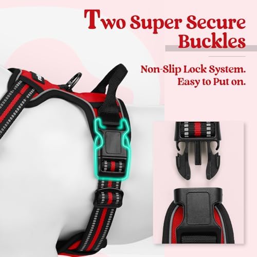 rabbitgoo Dog Harness, No Pull Medium Sized - Image 3
