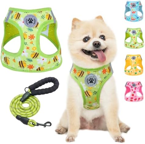 BEAUTYZOO Small Dog Harness and Leash Set, No Pull Puppy Pet Vest by BEAUTYZOO