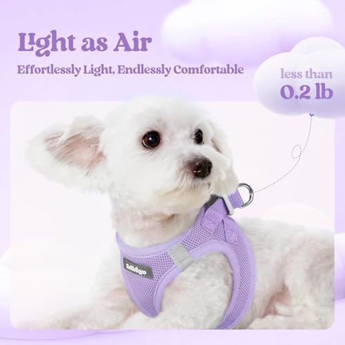 rabbitgoo Dog Harness Medium Sized and Leash Set, Step-in Puppy Pet Vest - Image 3
