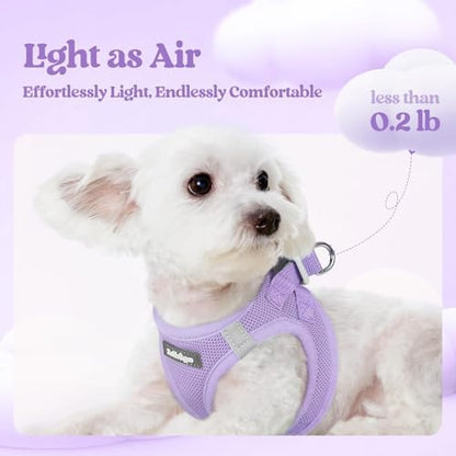 rabbitgoo Dog Harness Medium Sized and Leash Set, Step-in Puppy Pet Vest - Image 3