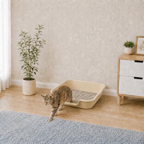Extra Large Low Entry ABS Cat Litter Box, 2 Pack - Image 3