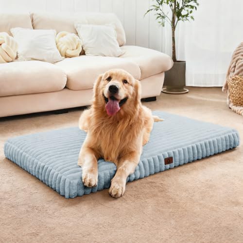 Extra Large Dog Bed Orthopedic Foam by Cozila